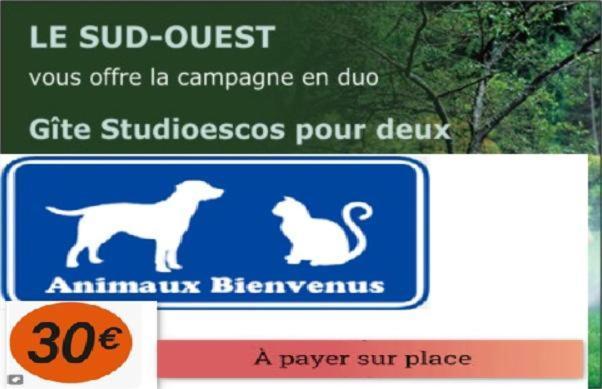 Gites Studioescos El Dos Exteriör bild